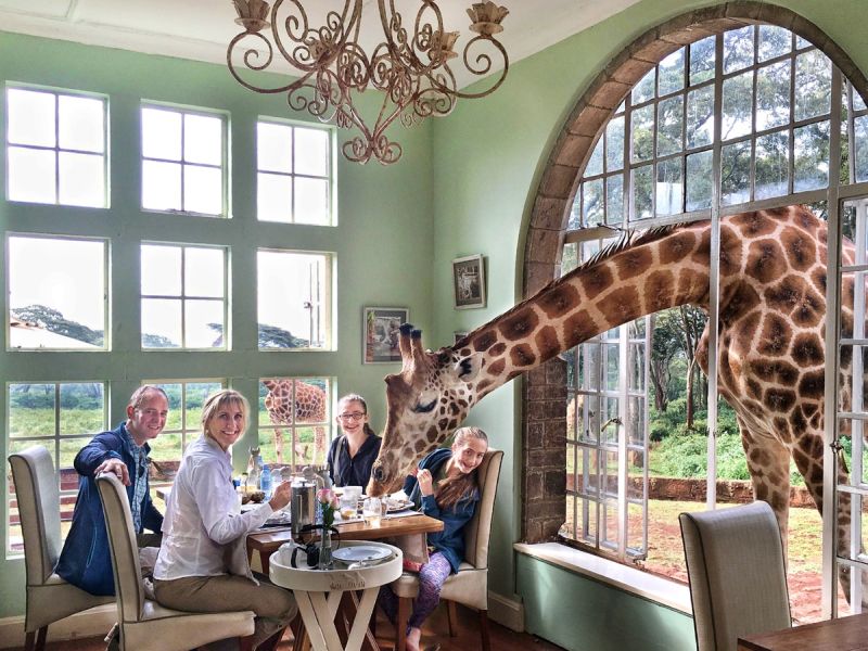Giraffe Manor, Найроби, Кения