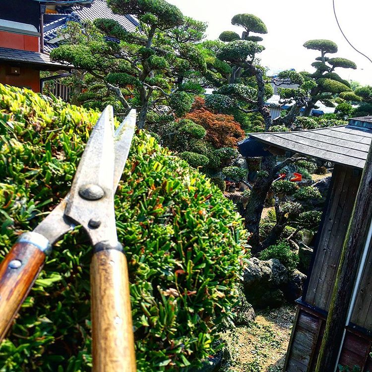 Eдин шведски градинар в Япония