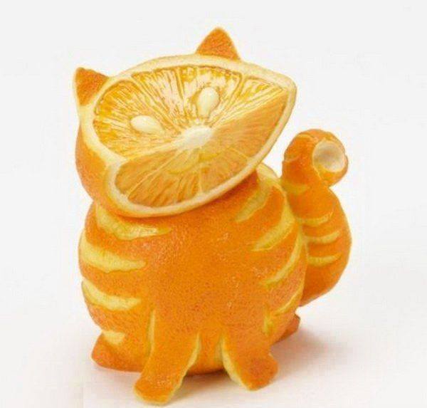 Коте от портокали