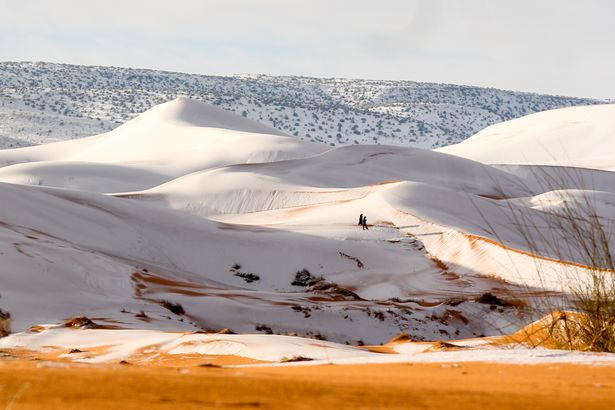 Снежна Сахара