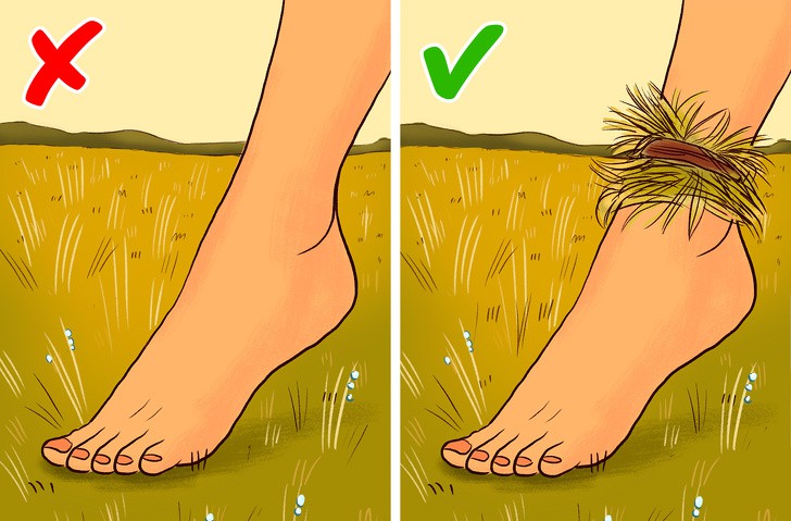 Как да съберем роса
