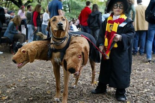 Хари Потър и Флъфи