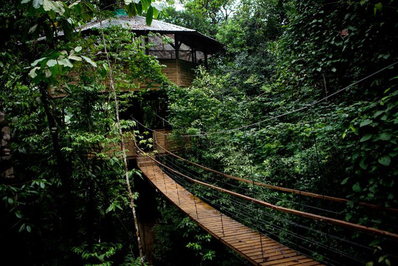 Finca Bellavista Treehouse Community