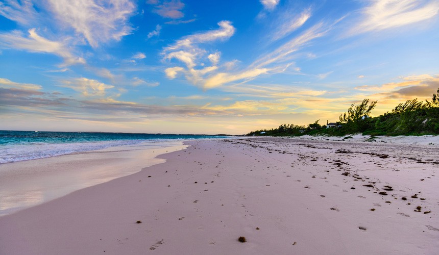 Pink sands beach, Бахами