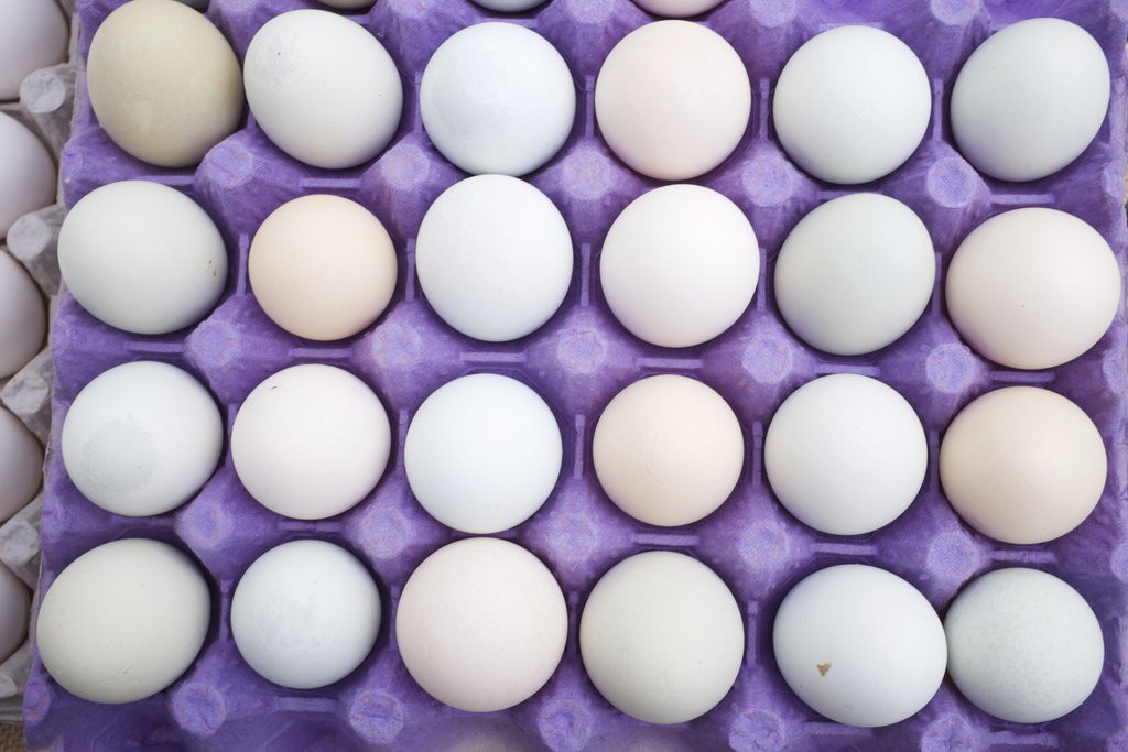 8. Боядисвайте яйца заедно