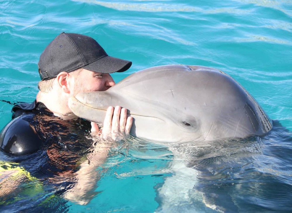 Перуанска терапия с делфини
