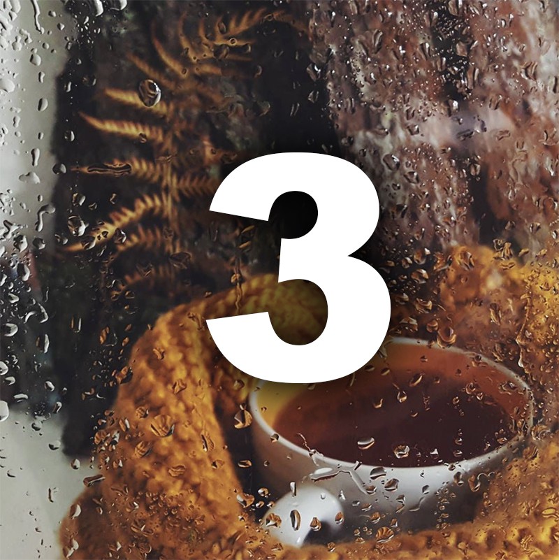 Ноември ти носи