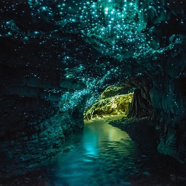 Светещите пещери, Нова Зеландия