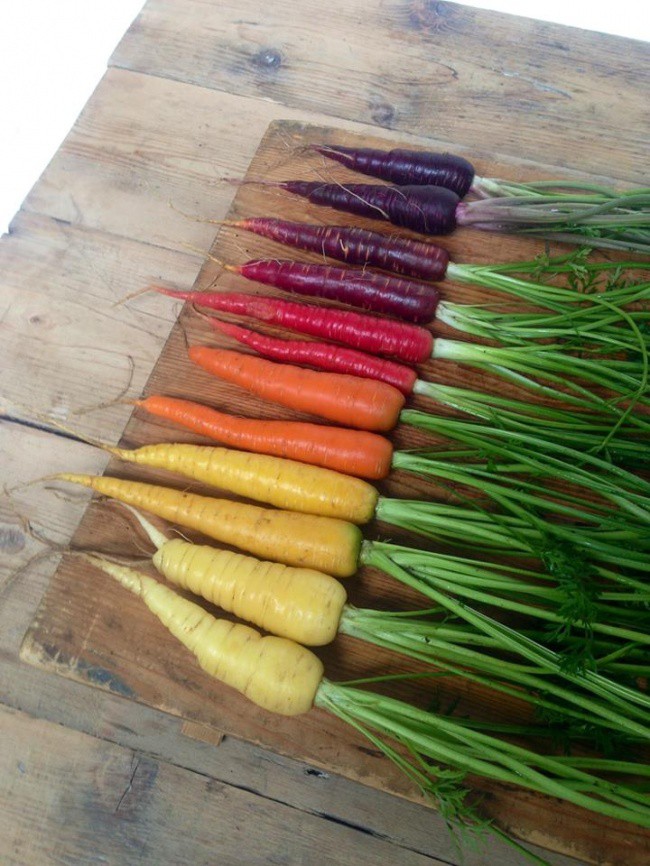 Моркови във всички цветове на дъгата