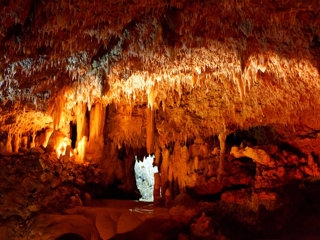 25. Мамутската пещера