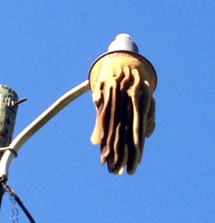 Пчели се заселили на улична лампа