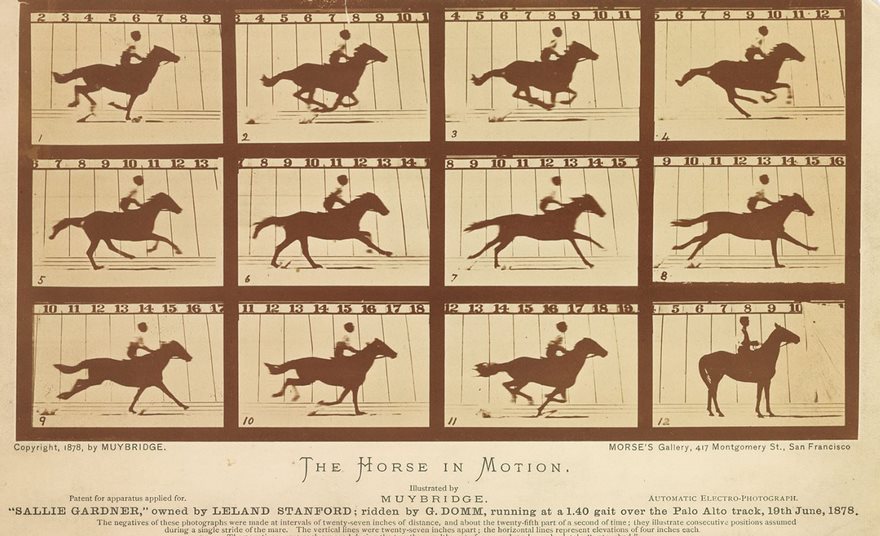 Кон в движение, Едуард Майбридж, 1878 
