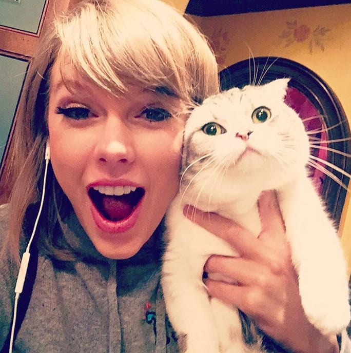 Тейлър Суифт и котката ѝ