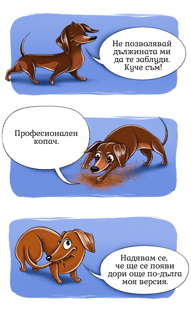Дакел