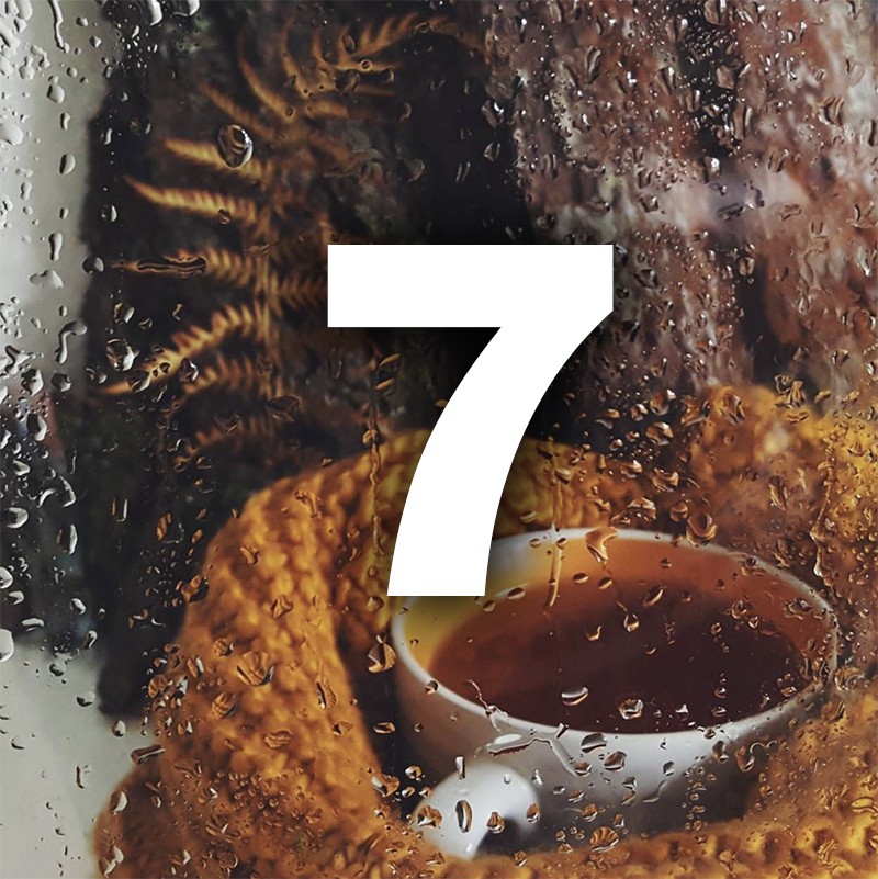 Ноември ти носи