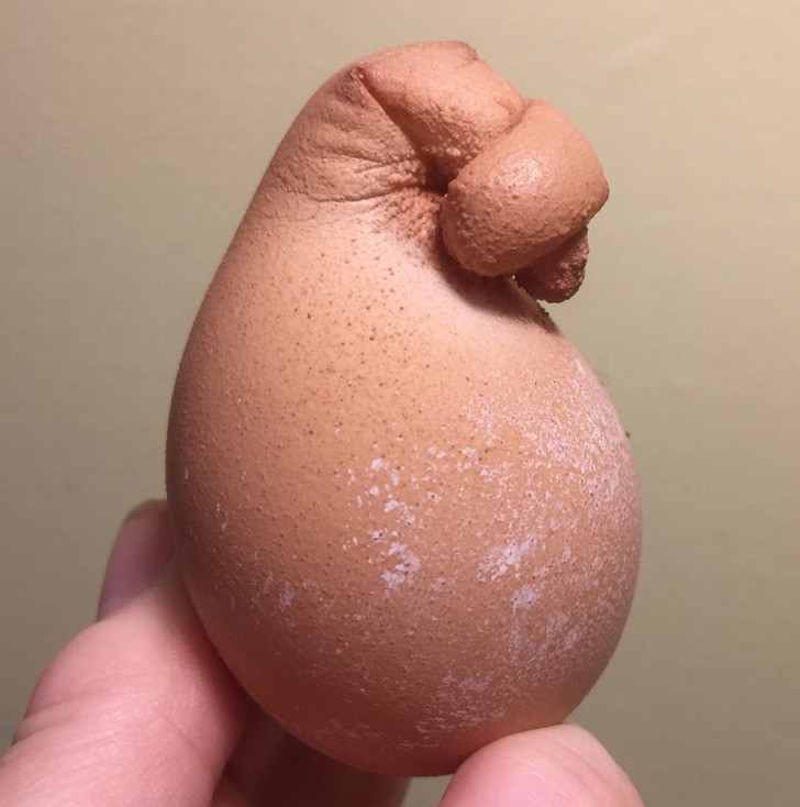Мама кокошка снесе яйце с панделка 