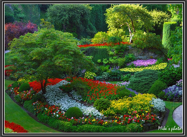 Цветна градина 