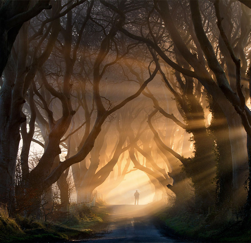 Dark Hedges, Северна Ирландия
