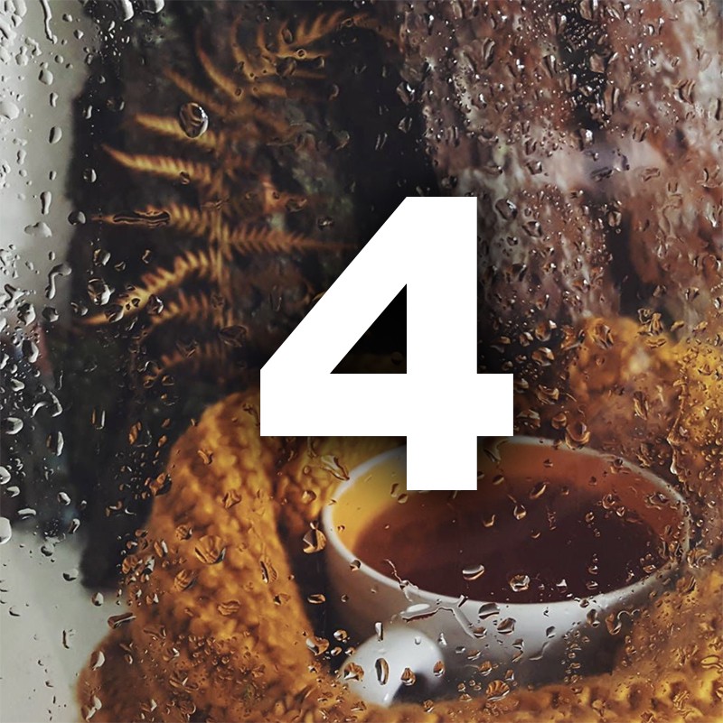 Ноември ти носи