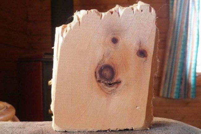 Куче или парче дърво?