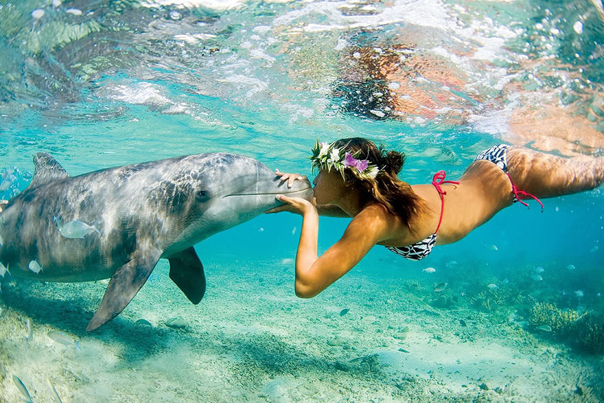 Плуване с делфини