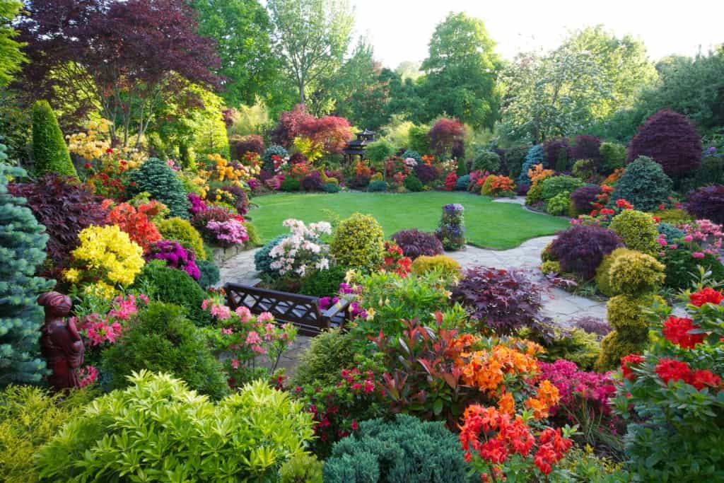 Цветна градина 