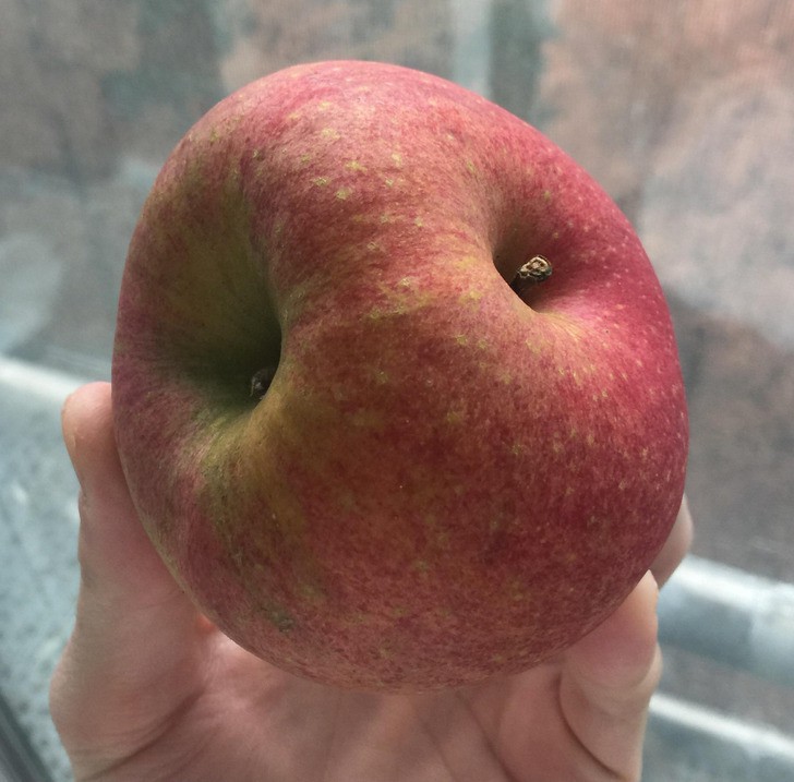 Ябълка с две дръжки