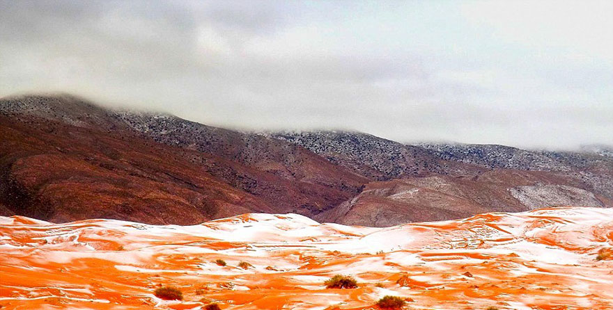 За първи път от 37 г.: Сняг в Сахара