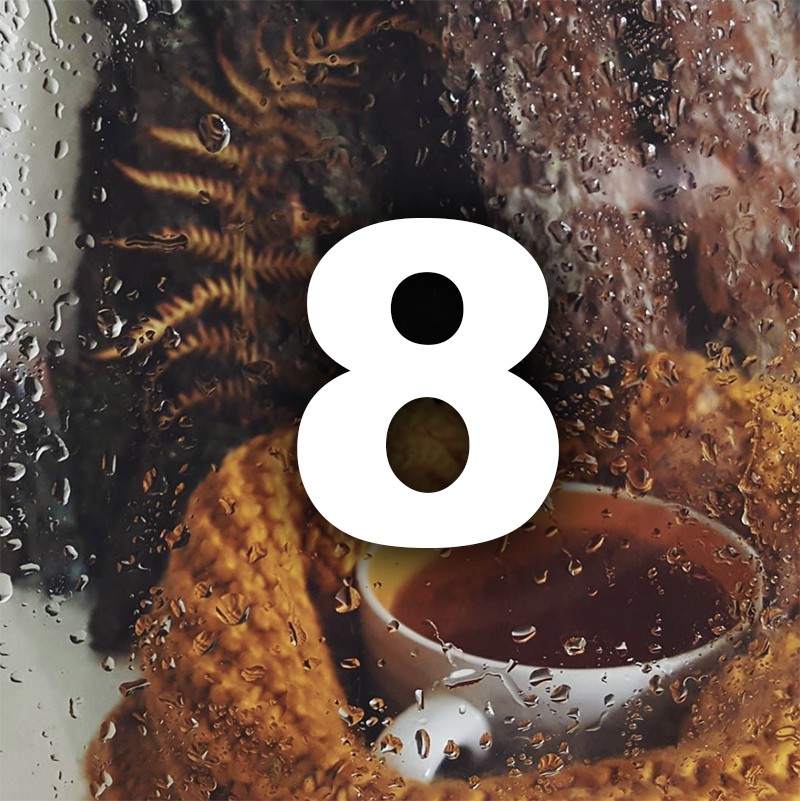 Ноември ти носи