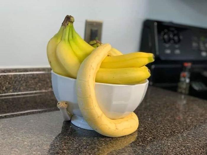 Това не е банан