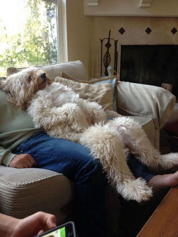 Най-дивана е най-удобно
