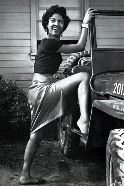 Дороти Дандридж, 1954 г.