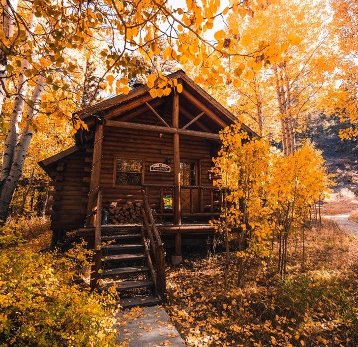 Къщичка в гората