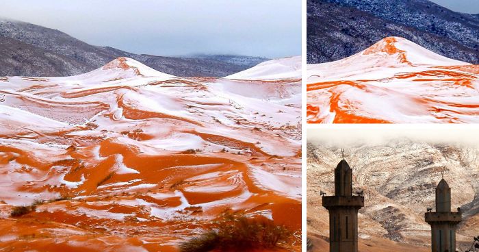 Сахара побеля, след като за първи път от 37 години заваля сняг