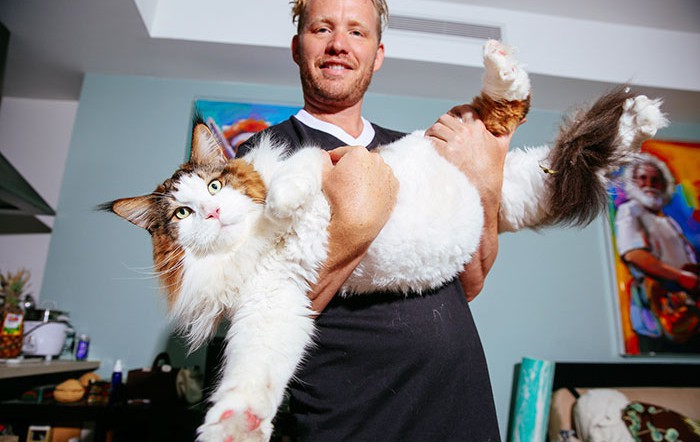 Запознайте се със Самсон: Най-голямата котка в света