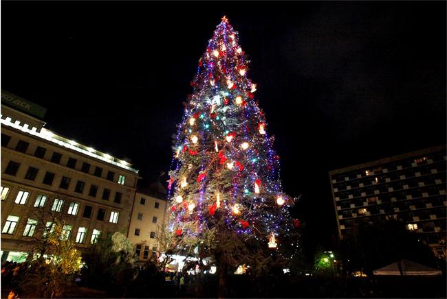 Коледната елха в столицата грейва на 1 декември