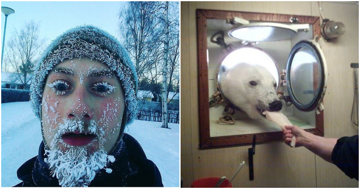 20 снимки, които показват истинското лице на зимата