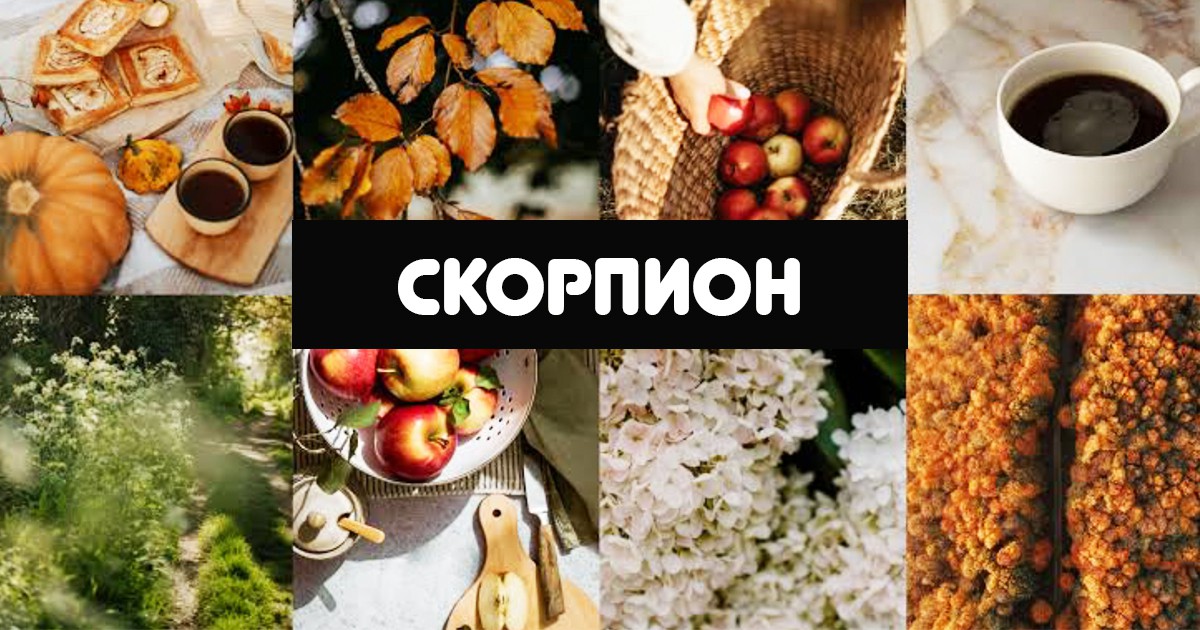 Месечен хороскоп за Скорпион за септември