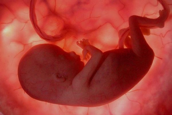 Видео: Как изглеждат 9 месеца бременност от зачеването до раждането