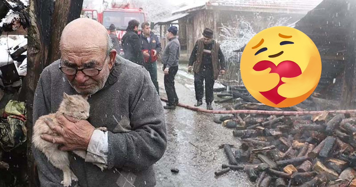 Дядо мислел, че е загубил всичко в пожара, но видял котката си! Реакцията му разплака всички (ВИДЕО)