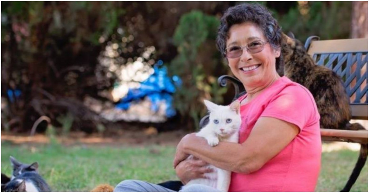 Линеа Латанцио – жената, която живее с 1000 котки