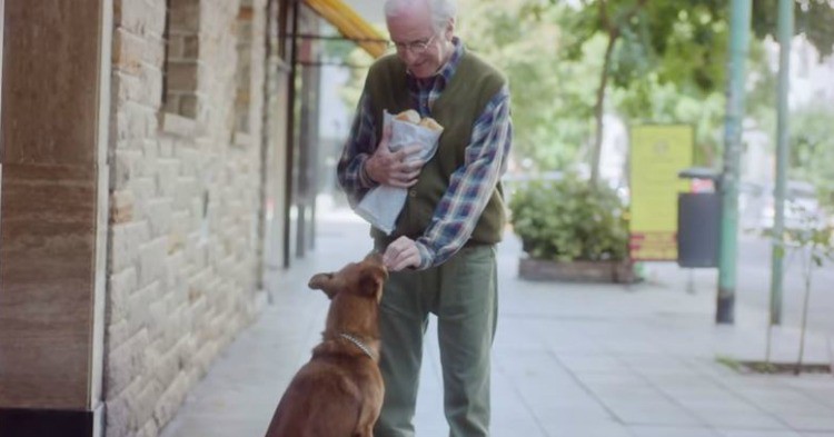 Мъжът и кучето: Рекламата, която просълзи света