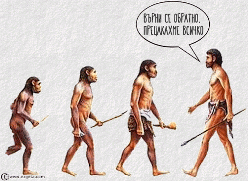 Забавни снимки: Шантавото чувство за хумор на еволюцията
