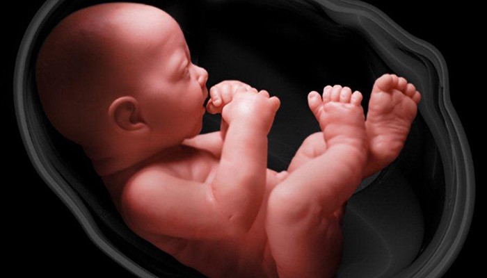 3 неща, които децата научават още в утробата