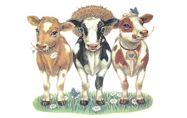 Разделяй и владей - притча за трите крави