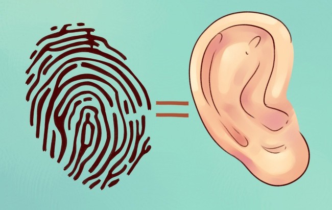 Какво разкриват ушите за здравето ти