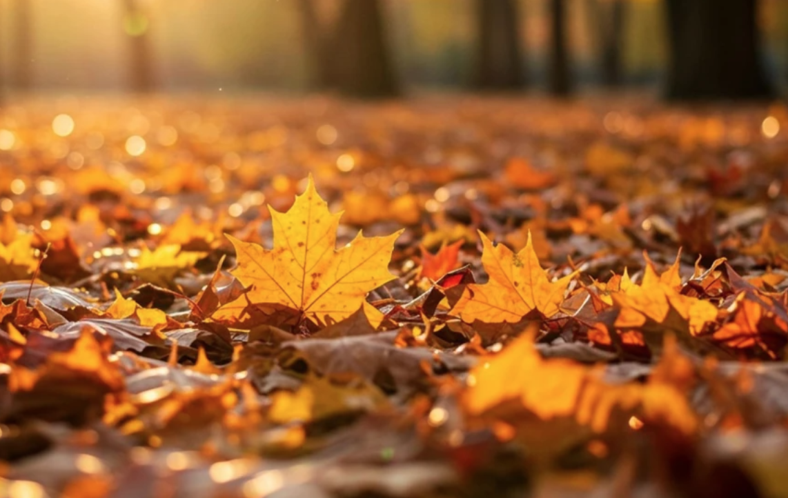 Прочетете личната си прогноза за днес, 30.10.