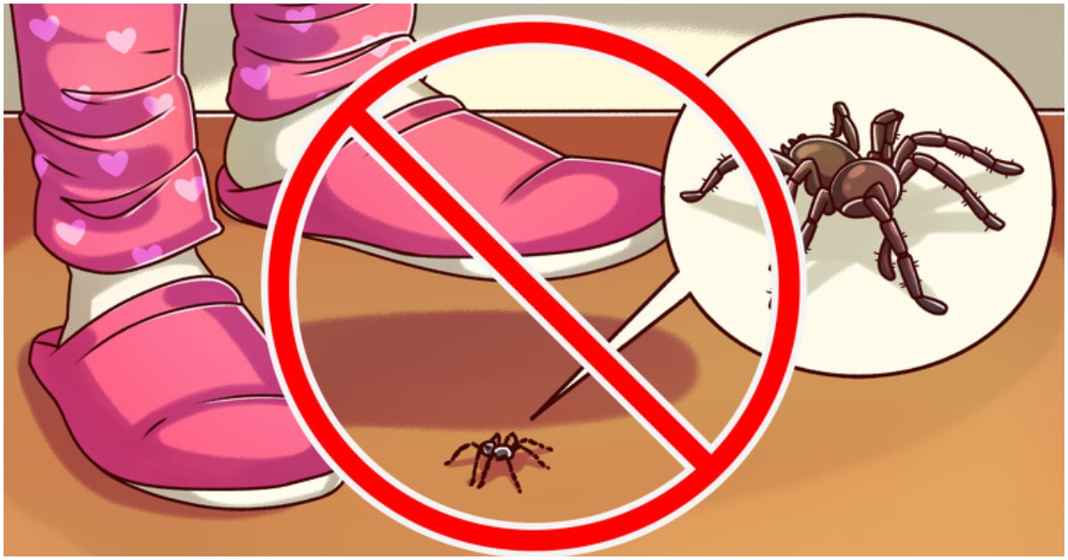 Любопитно: 10 буболечки, които не бива да убиваме