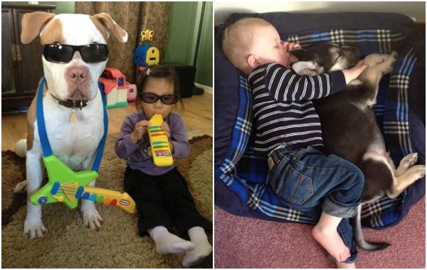 Най-добрият приятел на бебето: Очарователни снимки на бебета и техните кучета