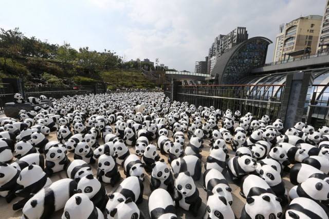 1600 панди потеглиха на световно турне